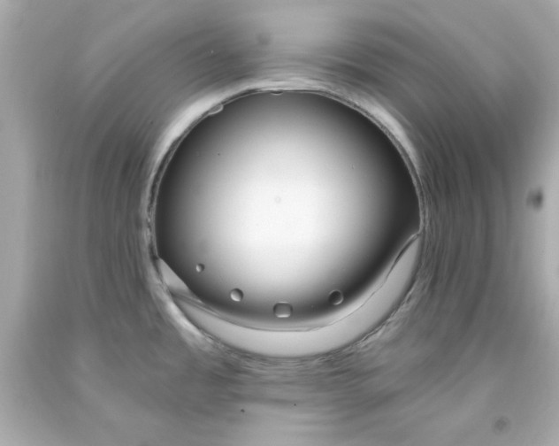 X0000093381485200711011239