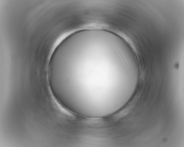 X0000093381486200711011239