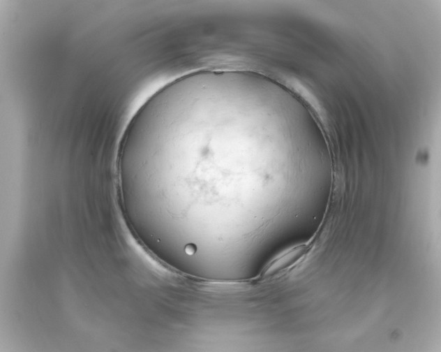 X0000093381487200711011239