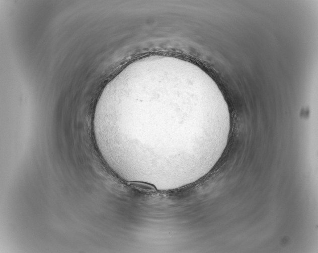 X0000093381489200711011239