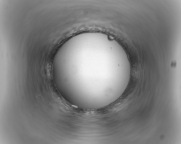 X0000093381490200711011239