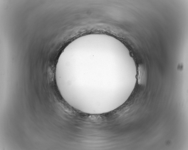 X0000093381491200711011239