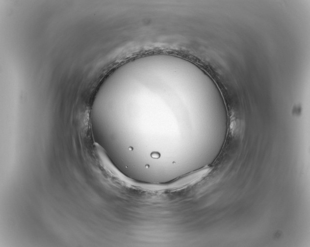 X0000093381492200711011239