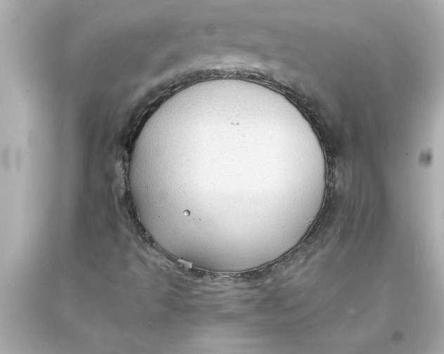 X0000093381493200711011239