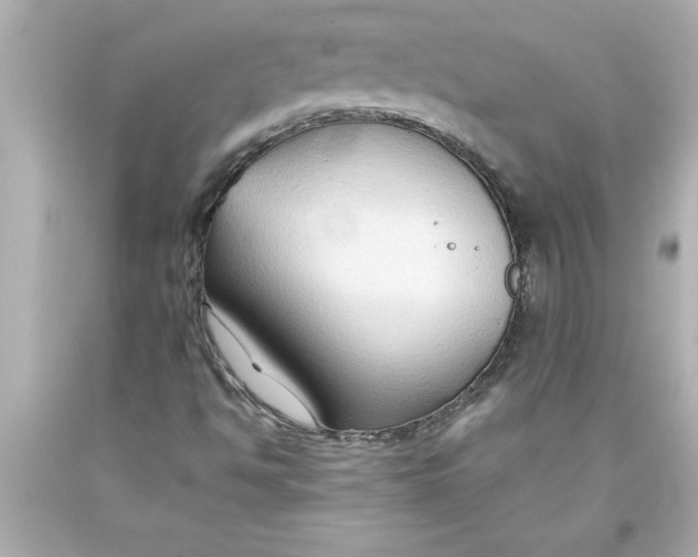 X0000093381494200711011239