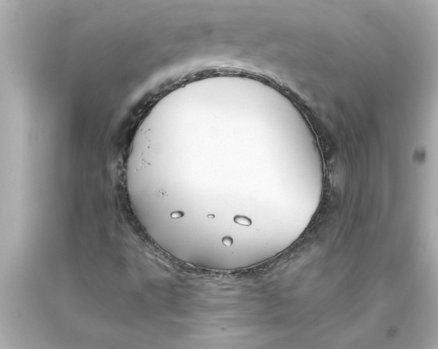 X0000093381495200711011239