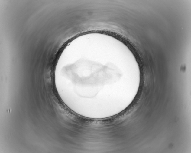 X0000093381497200711011239