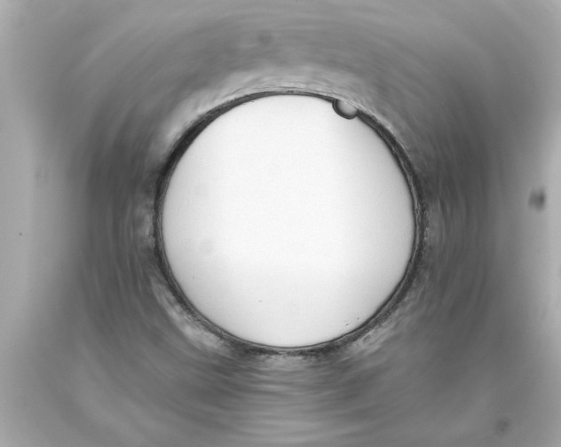 X0000093381499200711011239