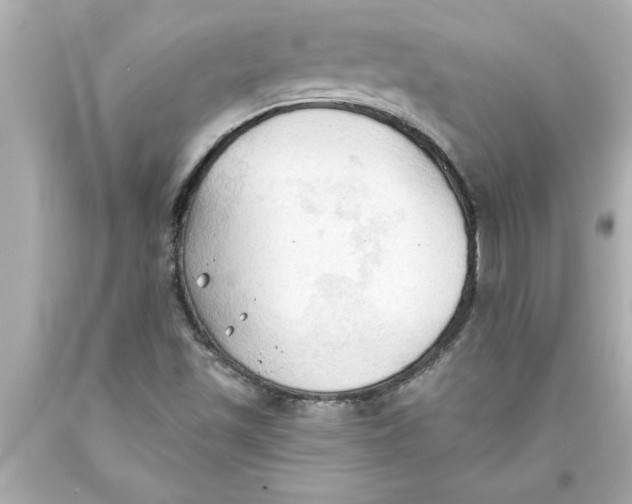 X0000093381501200711011239