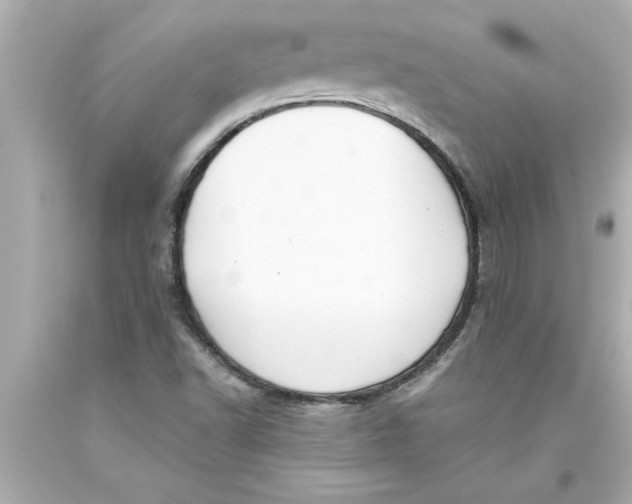 X0000093381502200711011239