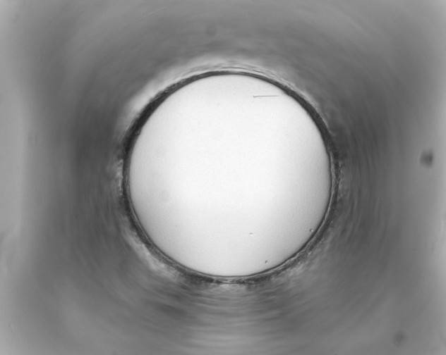 X0000093381503200711011239