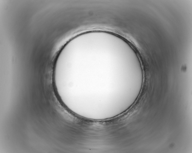 X0000093381504200711011239