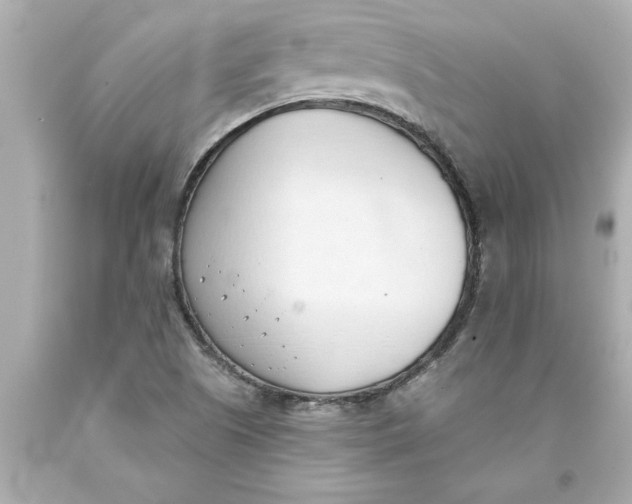 X0000093381505200711011239