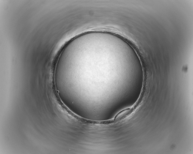 X0000093381506200711011239