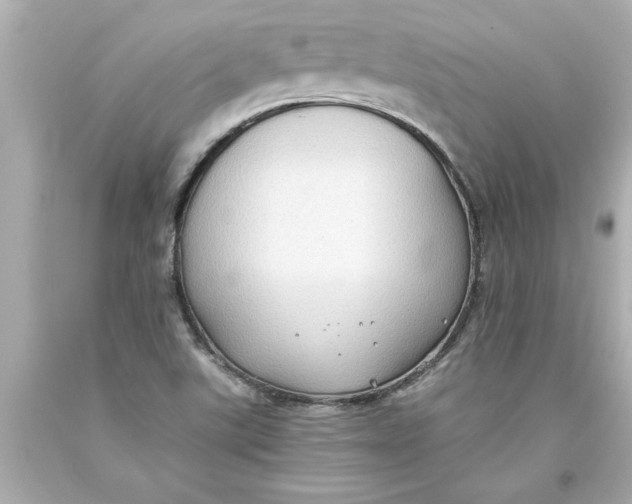 X0000093381507200711011239