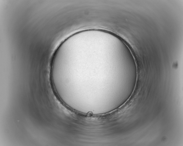 X0000093381508200711011239