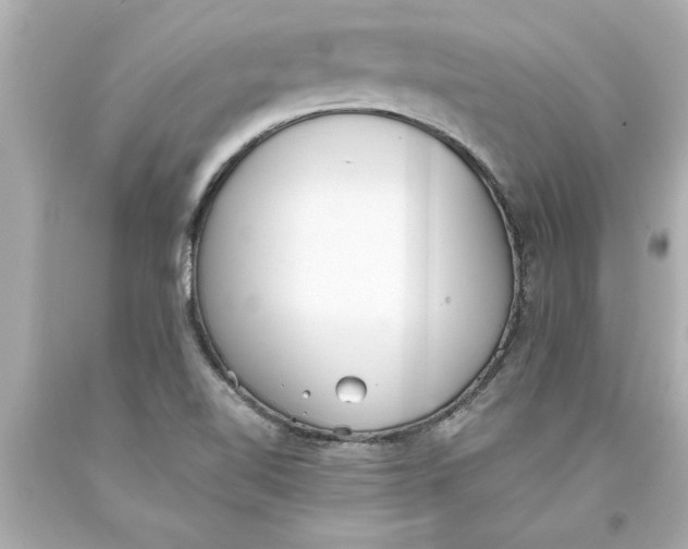 X0000093381510200711011239