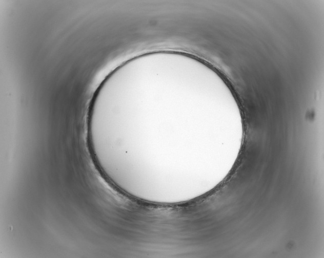 X0000093381512200711011239