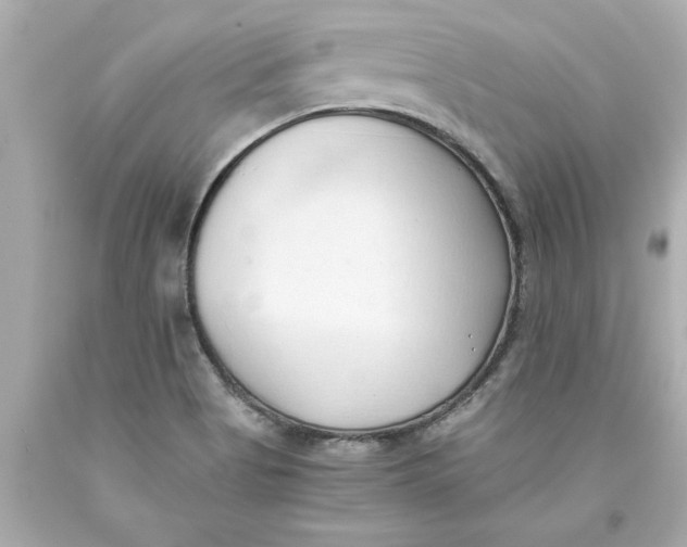 X0000093381513200711011239