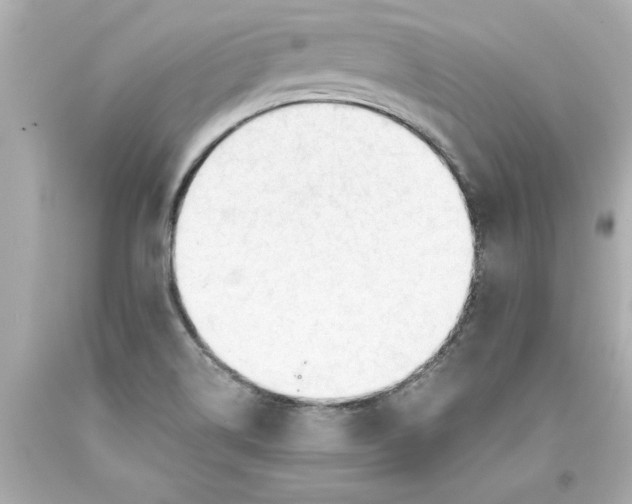 X0000093381514200711011239