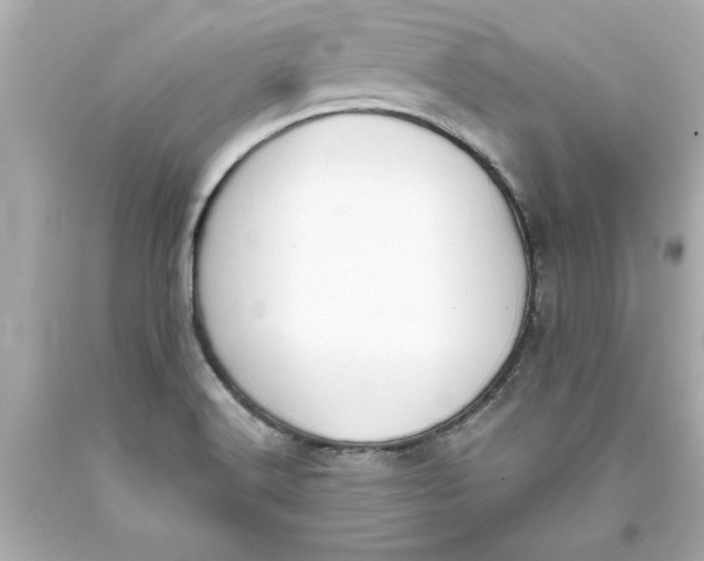 X0000093381516200711011239