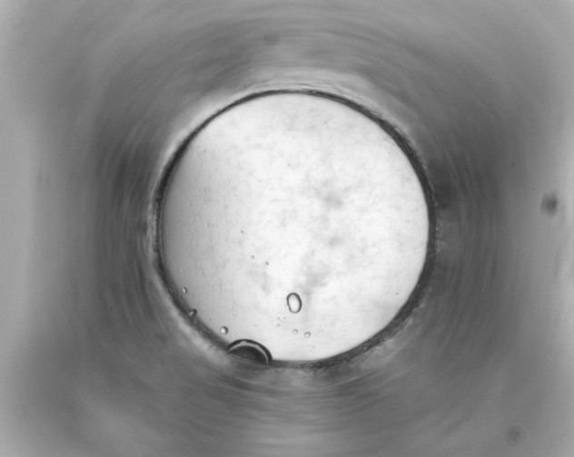 X0000093381517200711011239