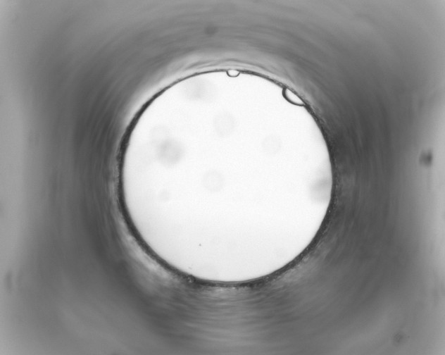 X0000093381518200711011239