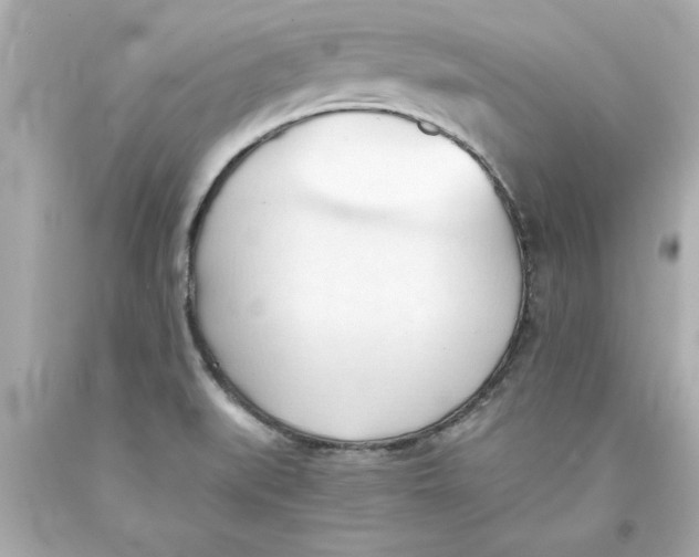 X0000093381519200711011239