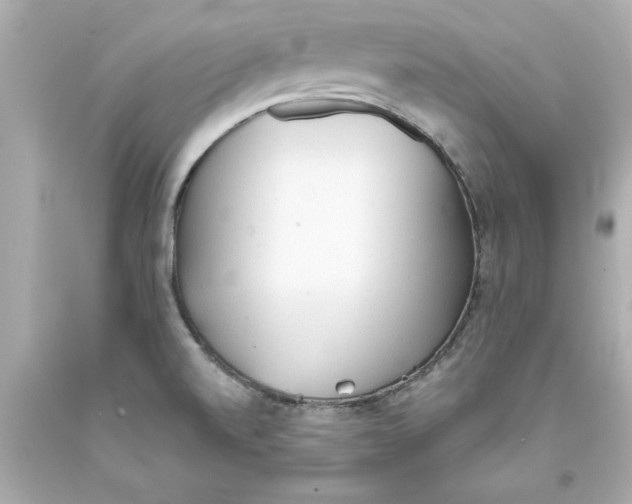 X0000093381520200711011239