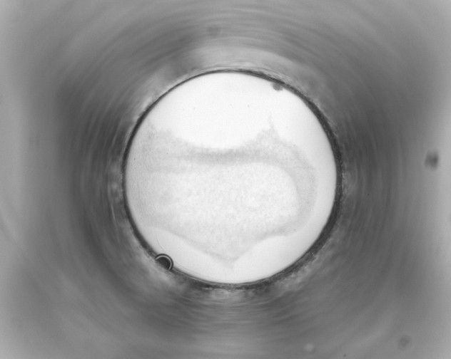 X0000093381521200711011239