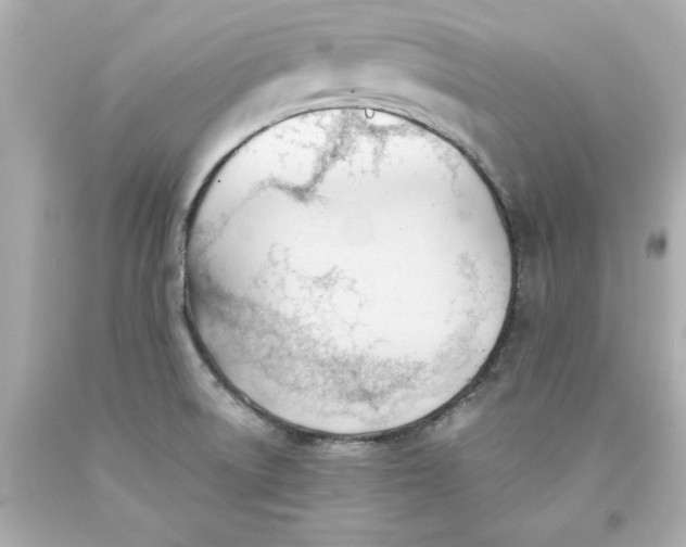 X0000093381522200711011239