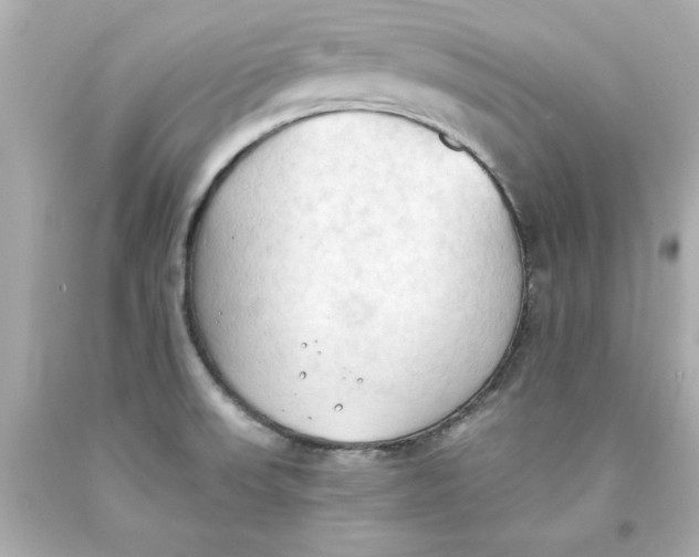 X0000093381523200711011239