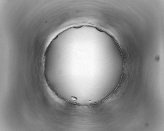 X0000093381524200711011239