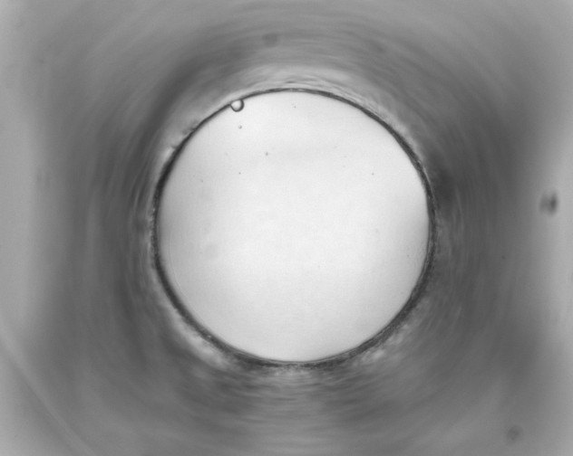 X0000093381525200711011239