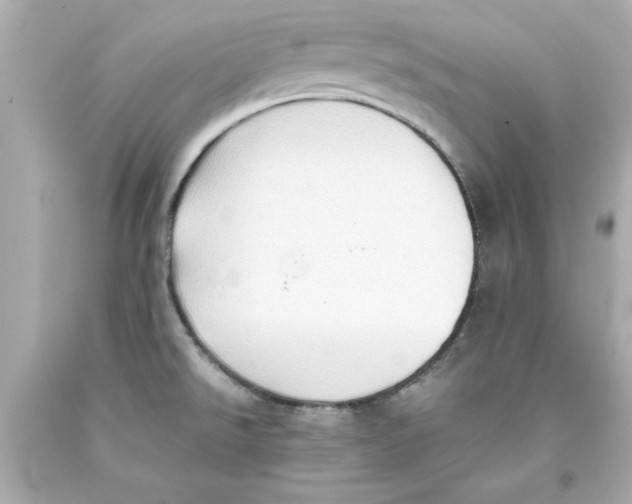 X0000093381526200711011239