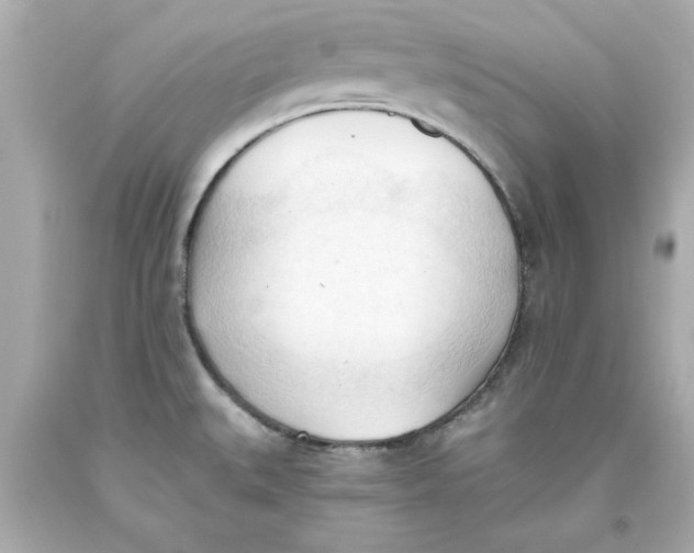 X0000093381527200711011239