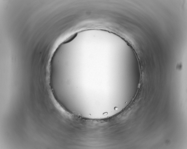 X0000093381528200711011239