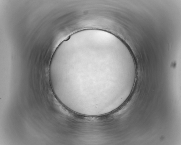 X0000093381529200711011239