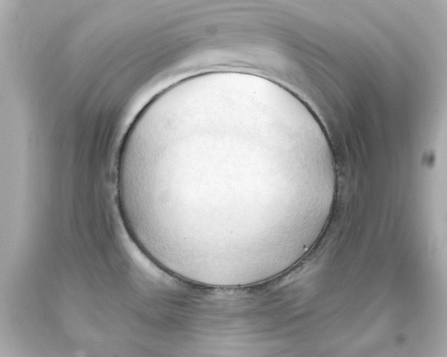 X0000093381531200711011239