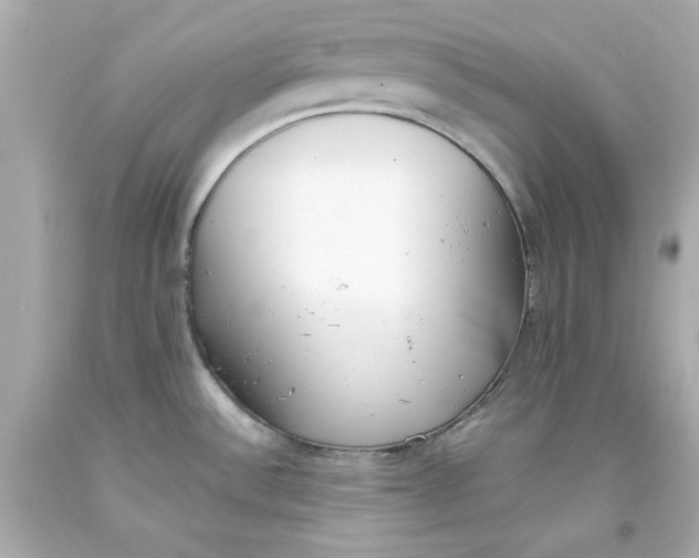 X0000093381532200711011239