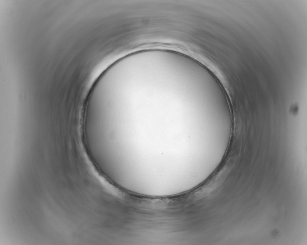 X0000093381533200711011239