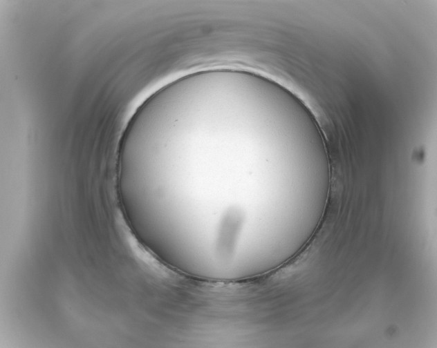 X0000093381534200711011239