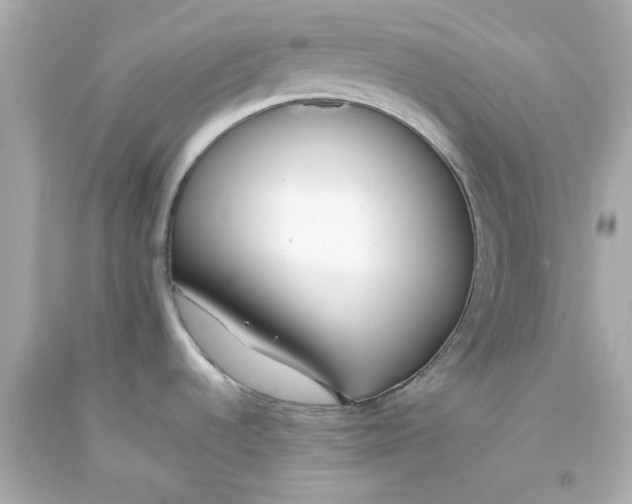 X0000093381536200711011239