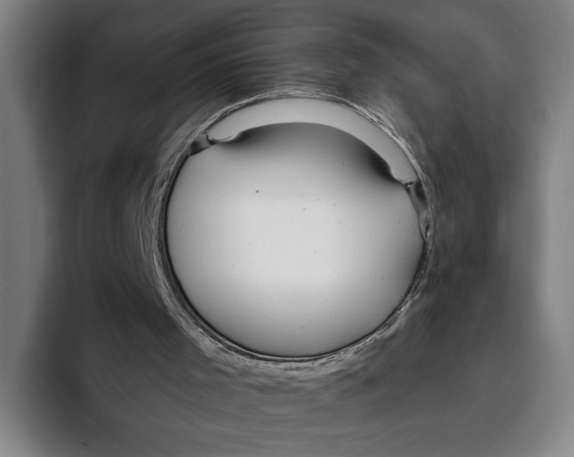 X0000093380001200711081554