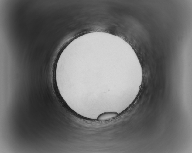 X0000093380006200711081554