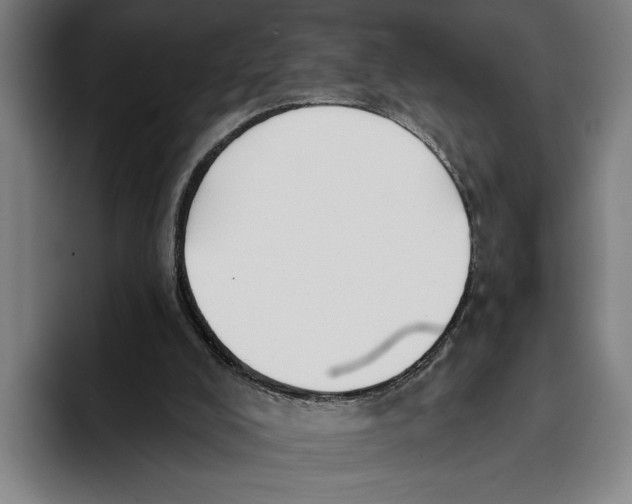 X0000093380008200711081554