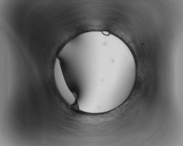 X0000093380017200711081554