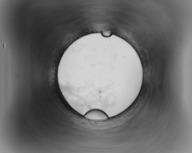 X0000093380018200711081554