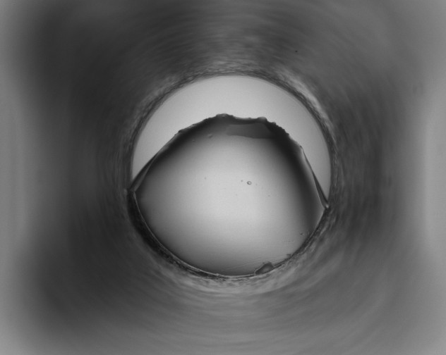 X0000093380019200711081554