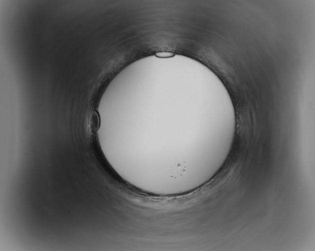 X0000093380023200711081554